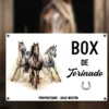 Plaque personnalisée pour boxe de cheval