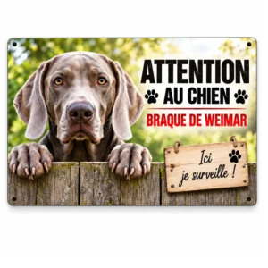 plaque attention au chien modèle braque de Weimar